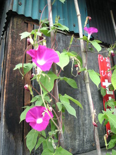 Image1144.jpg