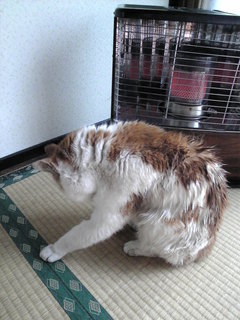Image697 - コピー.jpg