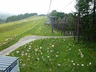 P1010377.jpg