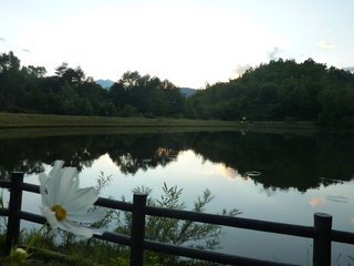 P1080650.JPG