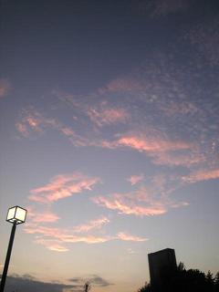 Image1250.jpg