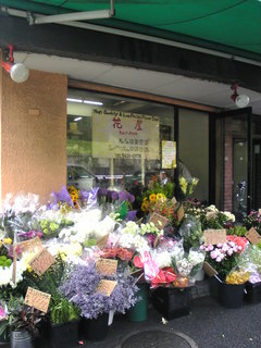 Image756.jpg